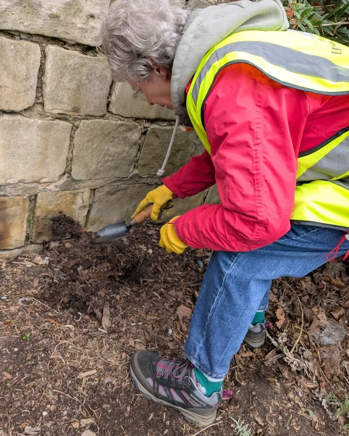 Friends of Hyde Park Cemetery
