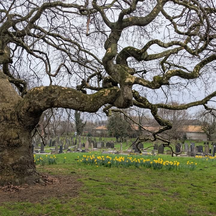 Friends of Hyde Park Cemetery